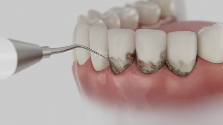 Reliable Dental contractor in Alvin, TX by Dentist Open Now